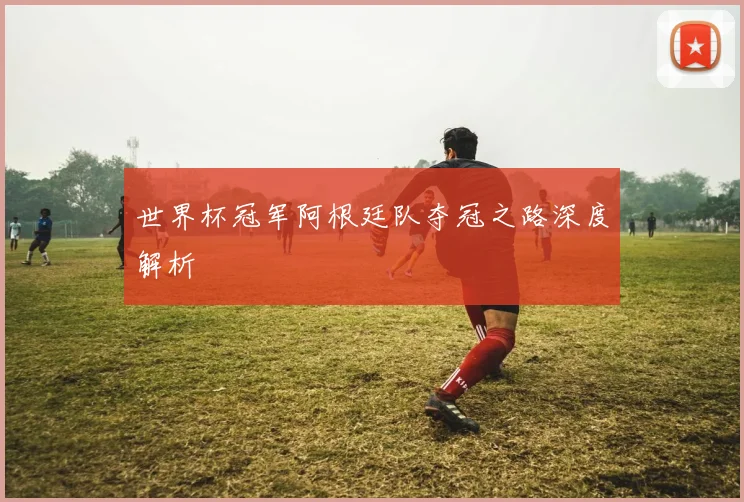 世界杯冠军阿根廷队夺冠之路深度解析