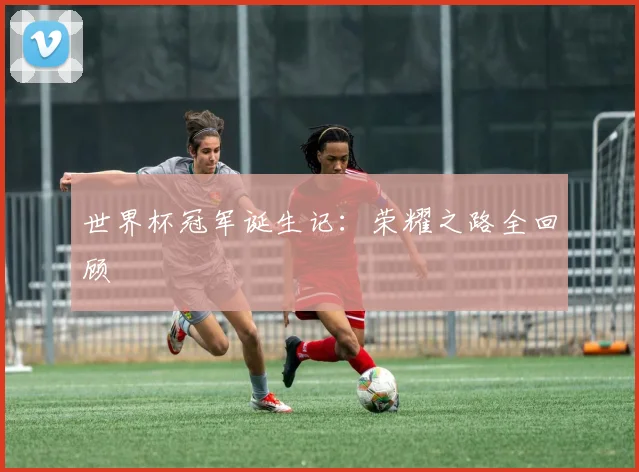 世界杯冠军诞生记：荣耀之路全回顾