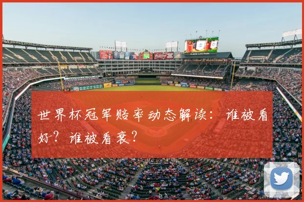 世界杯冠军赔率动态解读：谁被看好？谁被看衰？