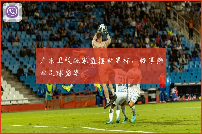 广东卫视独家直播世界杯，畅享热血足球盛宴