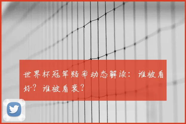 世界杯冠军赔率动态解读：谁被看好？谁被看衰？