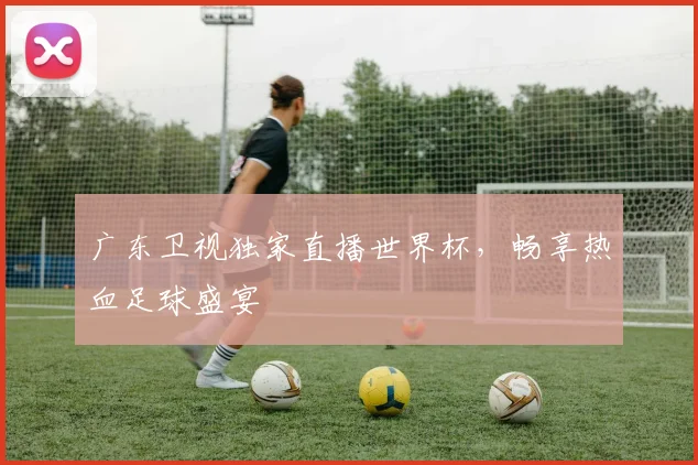 广东卫视独家直播世界杯，畅享热血足球盛宴